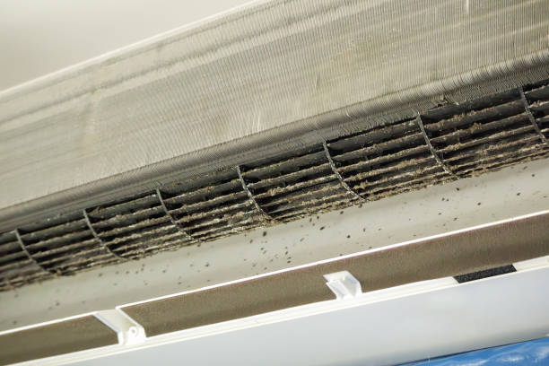 Affordable HVAC Duct Cleaning in IN